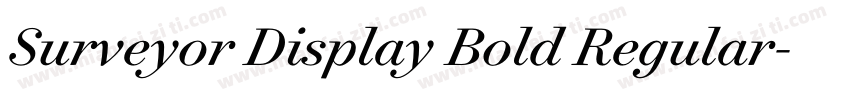 Surveyor Display Bold Regular字体转换